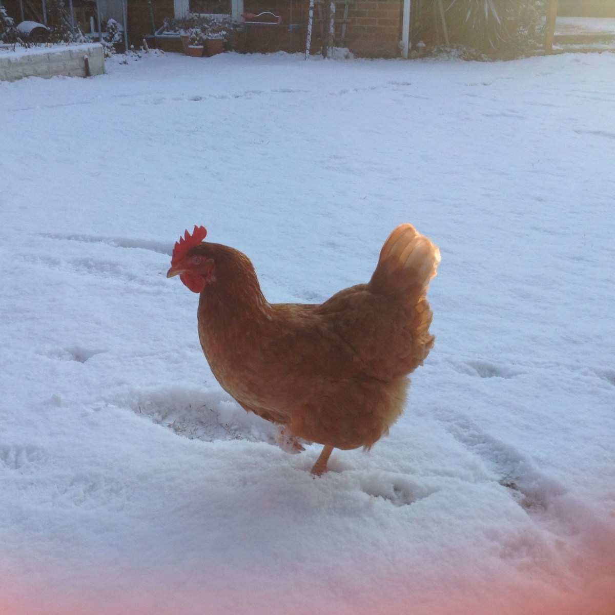 Review of 2018&nbsp;!!!