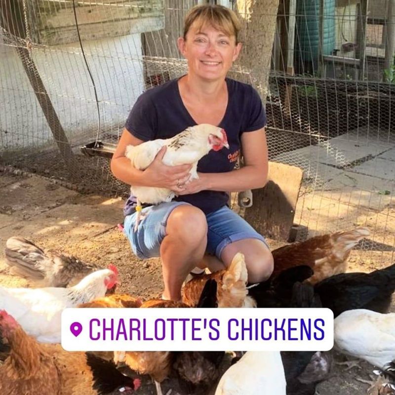 New to Chicken keeping&nbsp;…