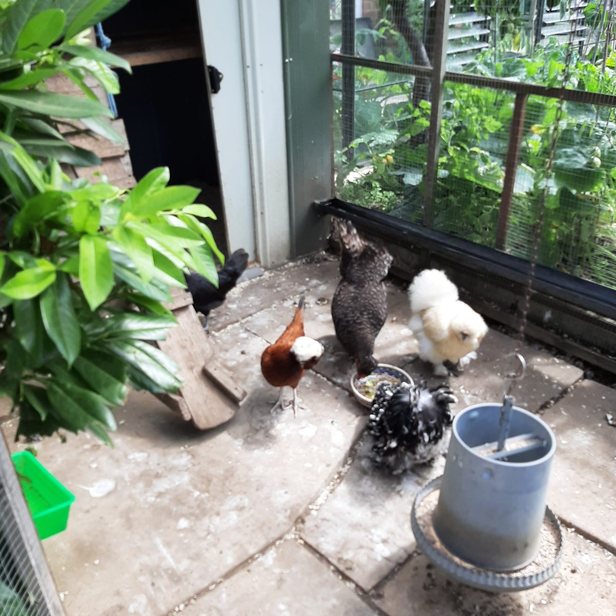 Wow what a busy Summer&nbsp;…